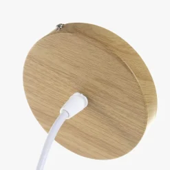 Candeeiro de Teto Orgânico Bambu