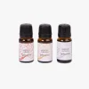 Conjunto de Óleo para Difusor
