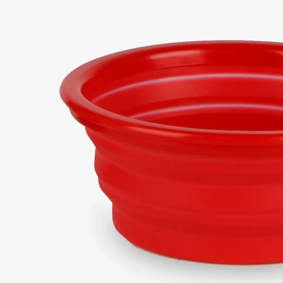 Garrafa com Bebedouro para Animal