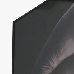 Quadro de Vidro Elefantes