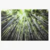 Quadro de Vidro Floresta