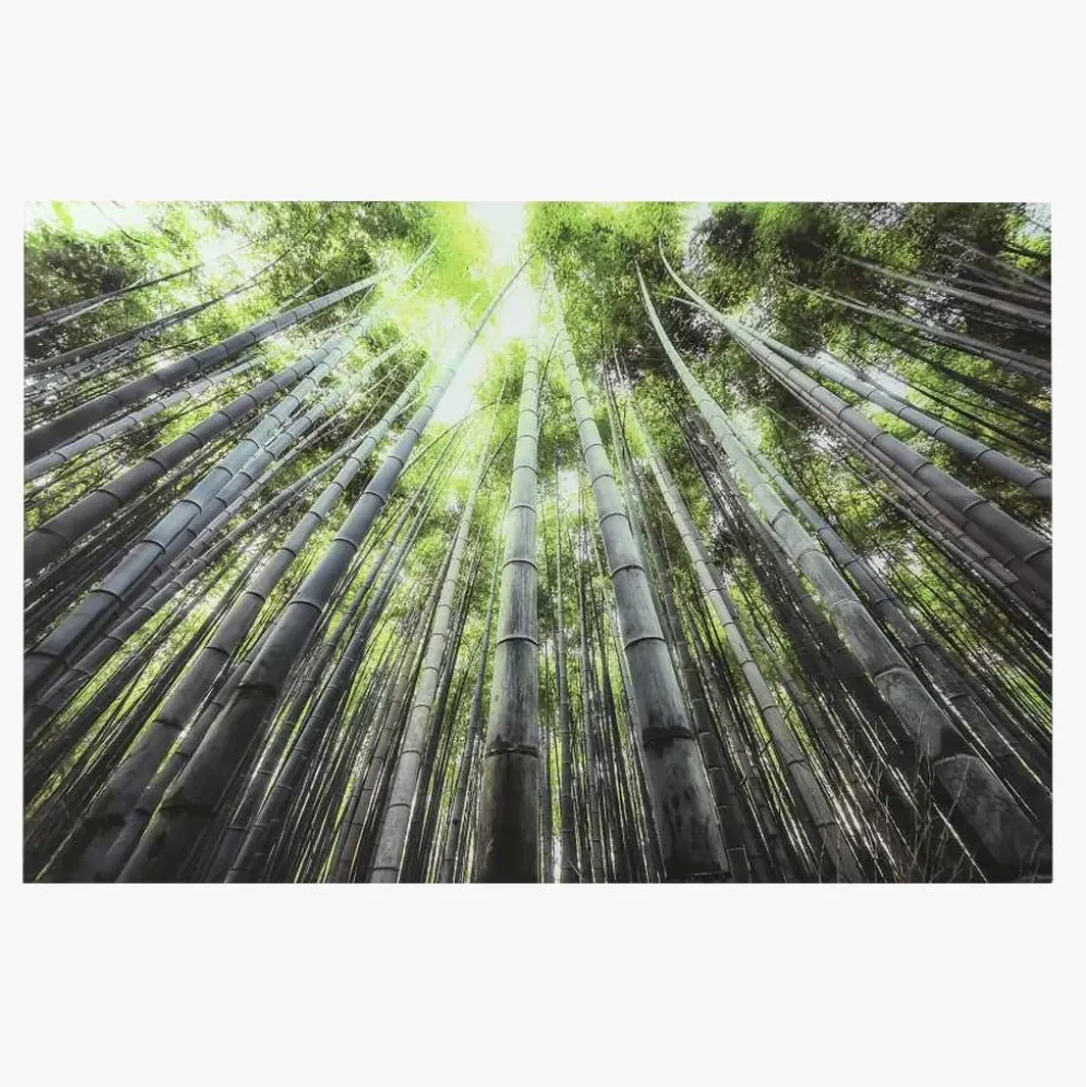 Quadro de Vidro Floresta
