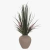 Vaso de cerâmica com Planta Dracaena