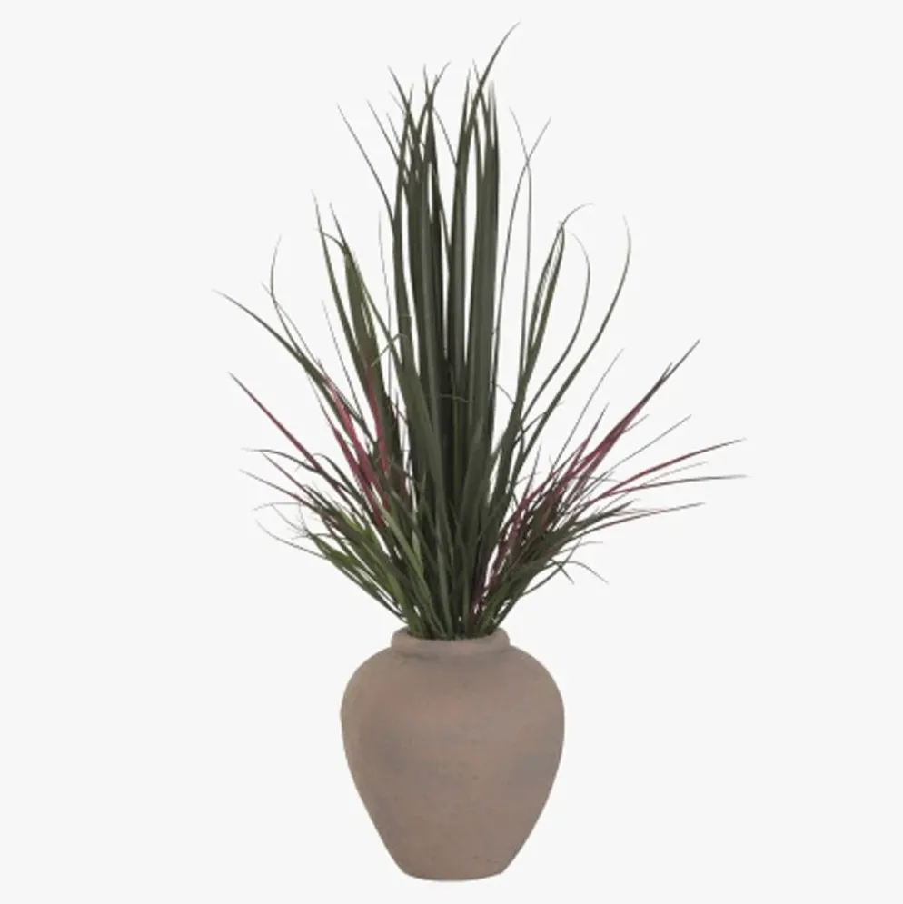 Vaso de cerâmica com Planta Dracaena