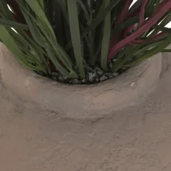 Vaso de cerâmica com Planta Dracaena