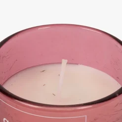 Vela Aromática Moliceiro 140g